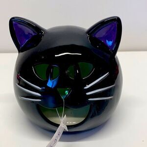 Black cat light New